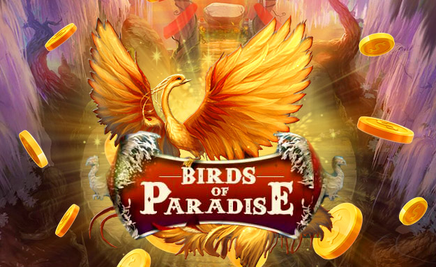 Birds of Paradise