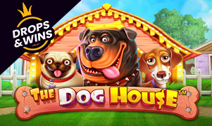 The Dog House™